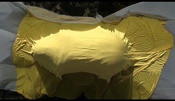 2 thania petersen baqu still 2 of