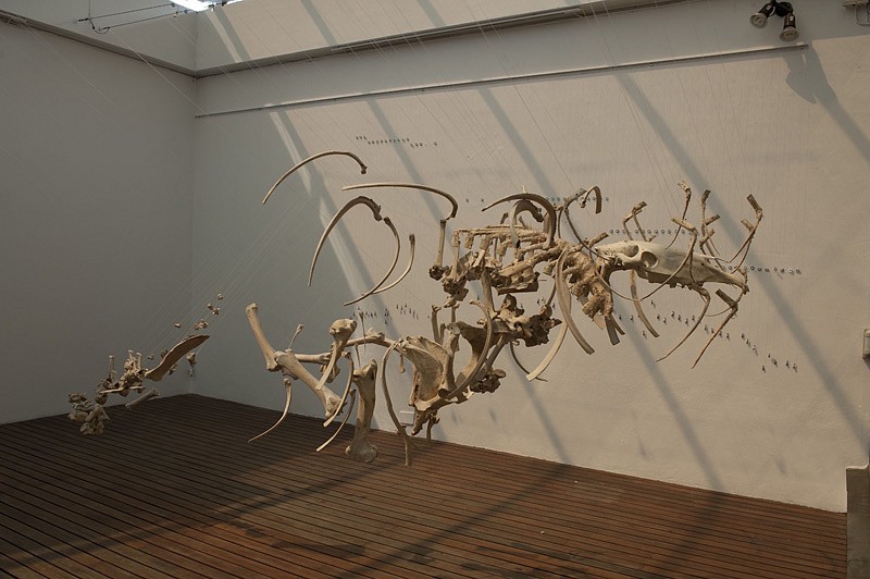 BRONWYN LACE, Airs Above Ground
2011