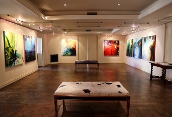 Syndi Installation 04