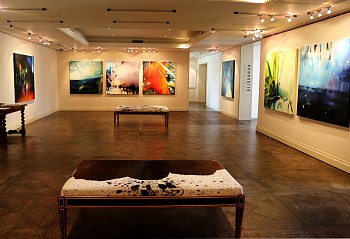 Syndi Installation 01