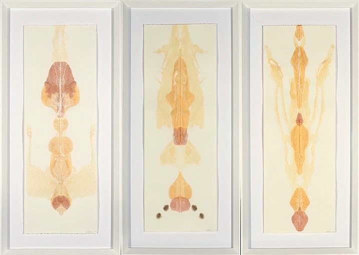 BRONWYN LACE, Stained and Engorged (Triptych)
2017, Calligraphy Ink on Fabriano Paper