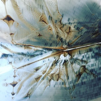 DNA sequencing plates and gold wax 2 web