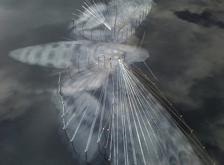 BARBARA WILDENBOER, FATE (ACHERONTIA ATROPOS) (detail)
2014, Photo-composite, Silver Thread and Pins on Paper