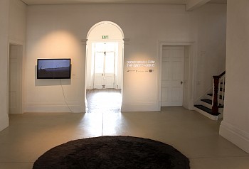 Smokey Signals 11(S)