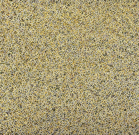 RICHARD PENN, NOISE 3
2017, Oil on Canvas