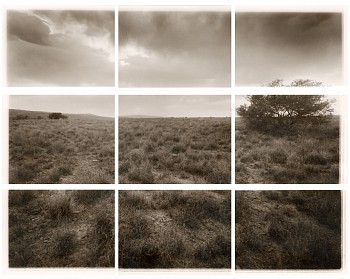 COMPOSITE LANDSCAPE I