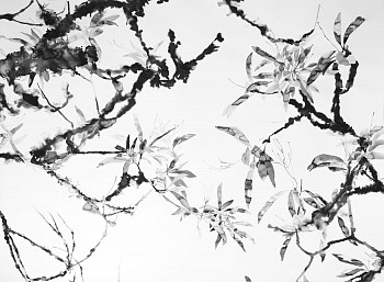 unfurl from deadwood kandahar ink and ground pigment on paper 125 x 180cm 2018 edited