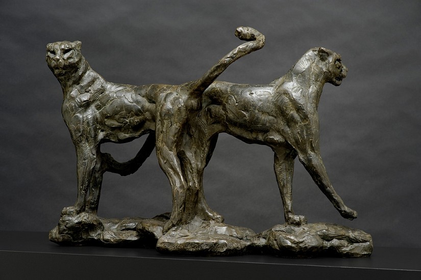 DYLAN LEWIS, S437 CHEETAH PAIR IV (MAQ)
Bronze