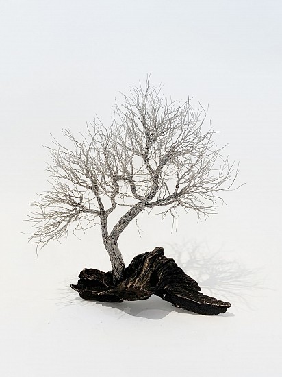 BETH DIANE ARMSTRONG, MOUNT
2020, BRONZE AND 0.3MM STAINLESS STEEL WIRE