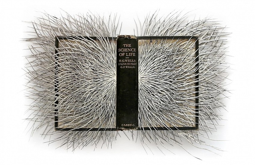 BARBARA WILDENBOER, THE SCIENCE OF LIFE
2020, Altered Book