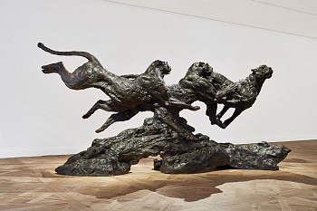 s386 running cheetah trio ii