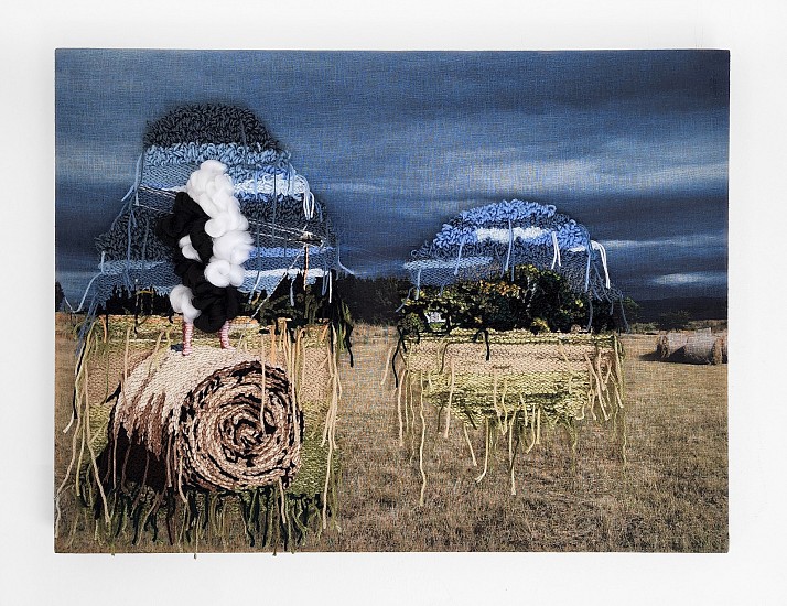 FRANLI MEINTJES, EXPELLED I
2022, PRINT ON FABRIC AND WOOL