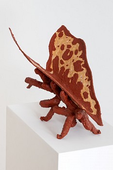 Everard Read 19 04 2024 HR