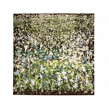 arrabella embroidary2 50 edit