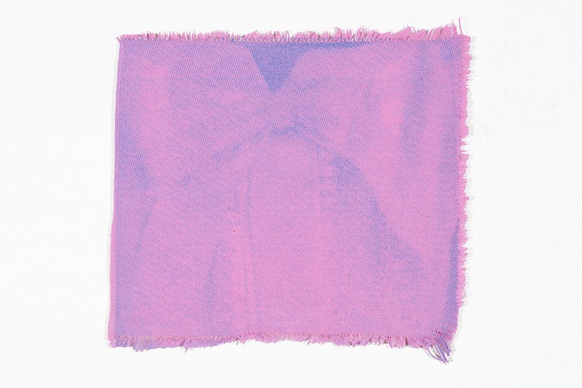 NINA TUROK SHAPIRO, PINK AND PURPLE
2024, SILK SCREEN PRINT ON UNSTRETCHED CANVAS