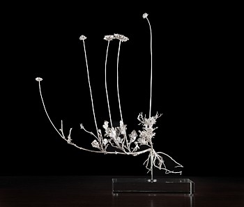 silver scabiosa summer show edited