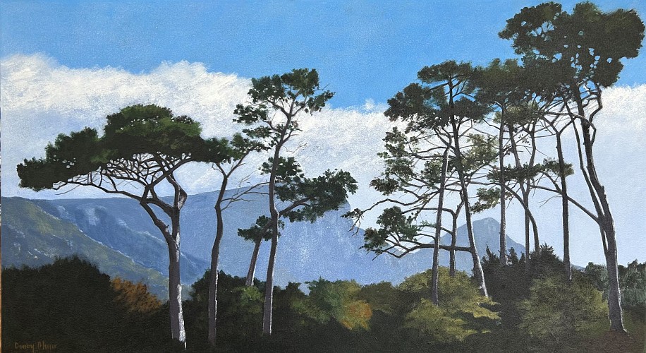 DENBY MEYER, CLASSIC CAPE
2025, Acrylic on Canvas