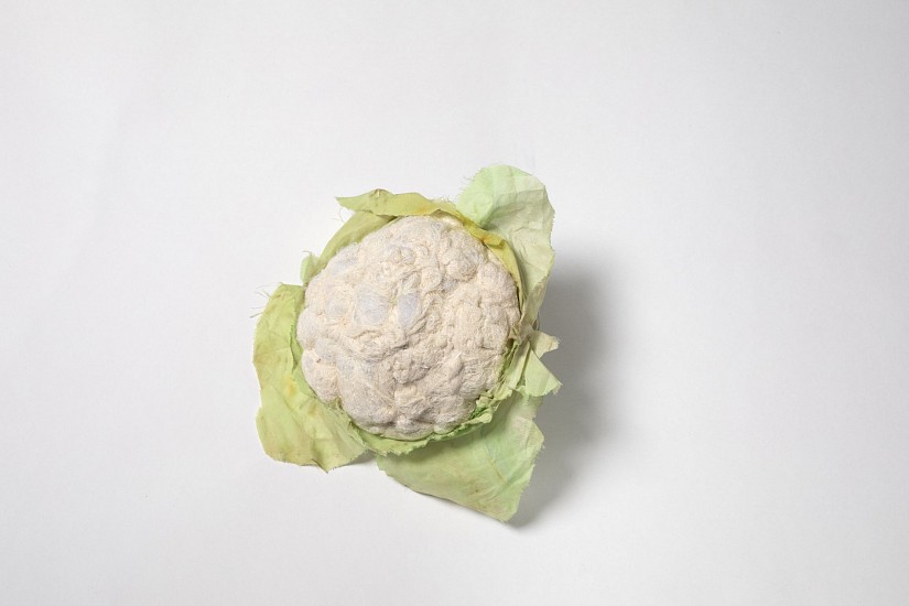 JANN CHEIFITZ, BORDER CAULI
2024, MIXED MEDIA SILK PAINTED/PRINTED FABRIC
