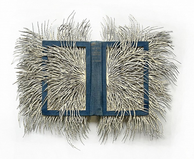 BARBARA WILDENBOER, THE BOOK OF SCIENTIFIC DISCOVERY
2025, Altered Book