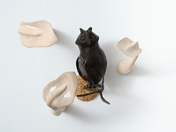 Everard Read 29 07 2025 LR 40