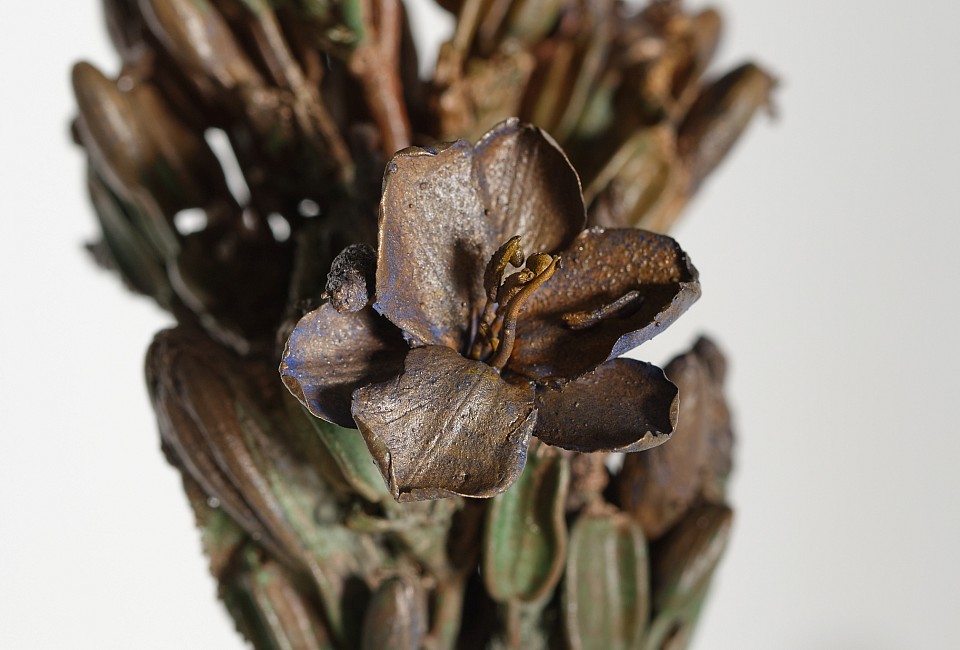 Everard Read 22 09 2025 Nic Bladen LR 9