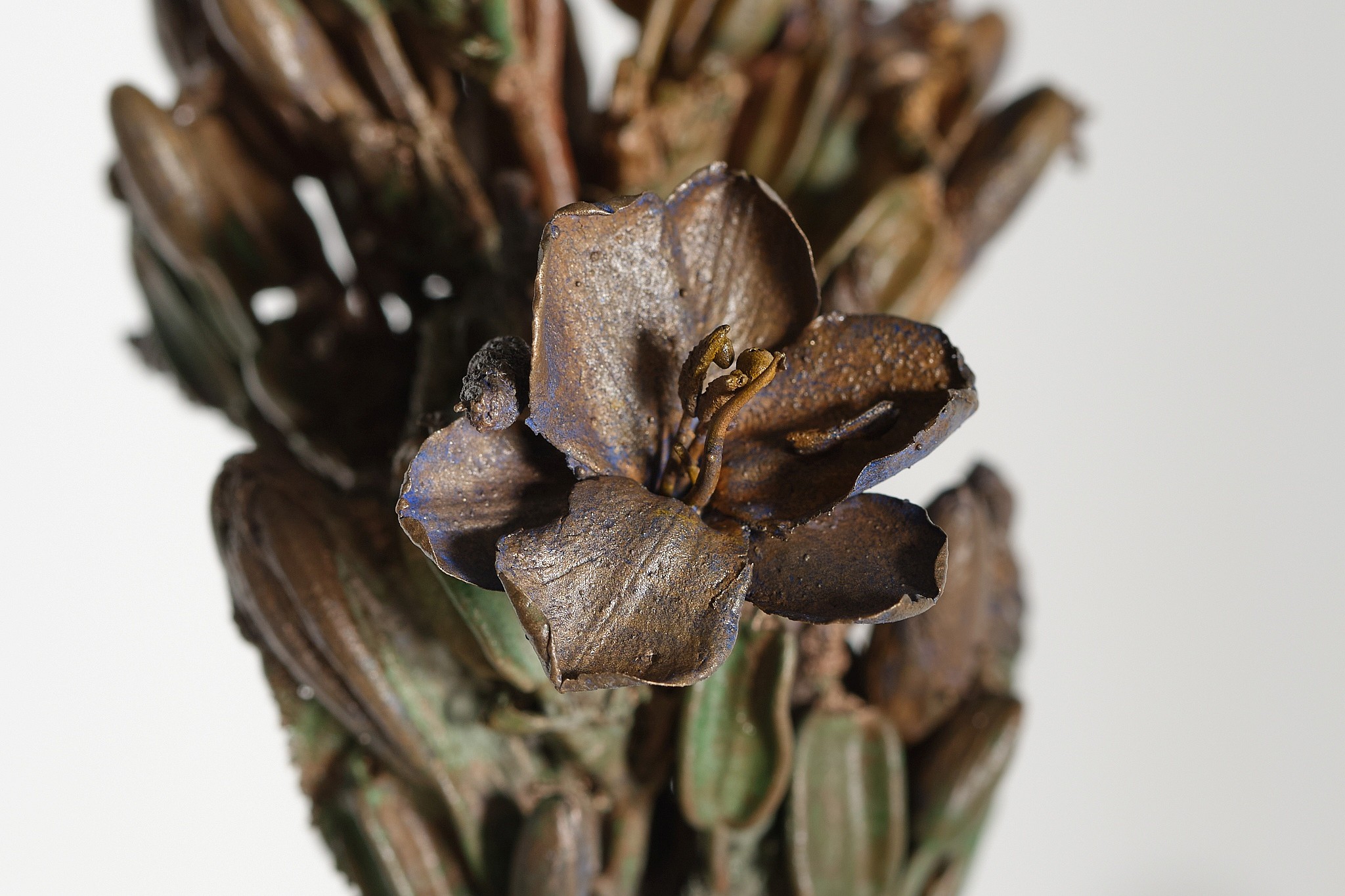 Everard Read 22 09 2025 Nic Bladen LR 9