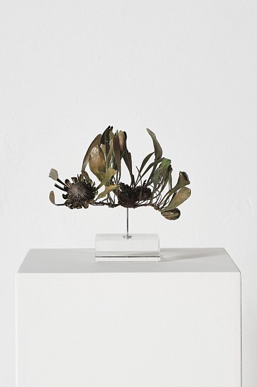 NIC BLADEN, PROTEA ACAULUS (L)
2025, Bronze