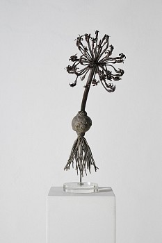 everard read 17 11 2026 nic bladen lr