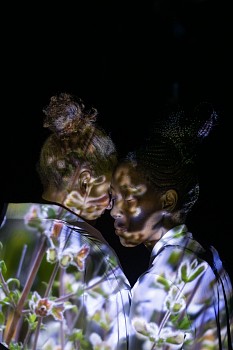 a blessing of protection 2 salvia africana blousalie