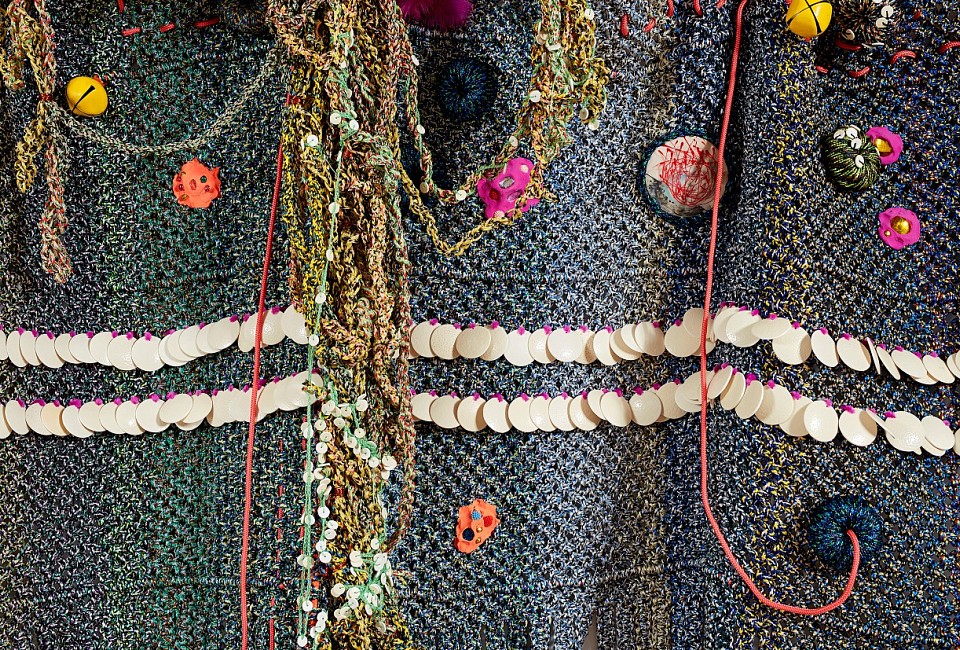 Lisa Grobler The Karoo as a Shawl Det