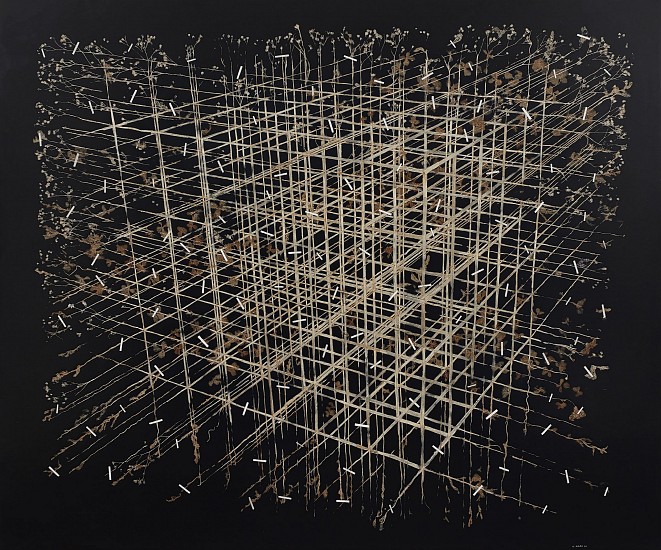 GERHARD MARX, TOPIARY (DIMENSIONAL BOTANICAL 3/26)
2026, PLANT MATERIAL, TISSUE PAPER AND ACRYLIC GROUND ON CANVAS AND BOARD