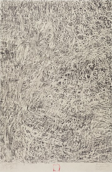 FAITH XLVII, BADAMIER TREE I, NOSY AMBARIOVATO, MADAGASCAR - COLLABORATIVE WORK WITH ERIC YANASAK
2023, GRAPHITE ON SHIRAKABA PAPER