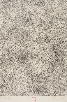 granite rock venus pool i lr