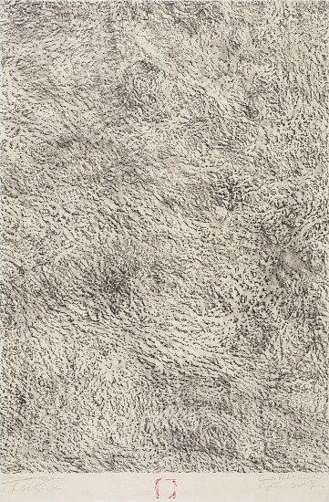 FAITH XLVII, GRANITE ROCK I, VENUS POOL, CAPE POINT, SOUTH AFRICA - COLLABORATIVE WORK WITH ERIC YANASAK
2023, GRAPHITE ON SHIRAKABA PAPER