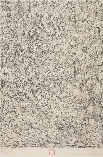 FAITH XLVII, LAVA ROCK I, WAIPO 'O FALLS, KOKE 'E, KAUIA - COLLABORATIVE WORK WITH ERIC YANASAK
2023, GRAPHITE ON SHIRAKABA PAPER